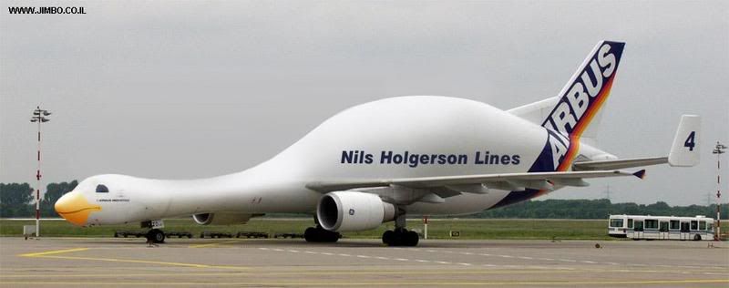 Duck Plane